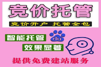 SEM主管实战：案例分析与优化策略